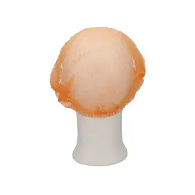 CMT Haarnet - Clip Cap PP Non Woven Roze Maat L 53cm -Horecavoordeel.com-
