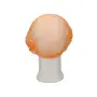 CMT Haarnet - Clip Cap PP Non Woven Roze Maat L 53cm -Horecavoordeel.com-