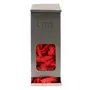 CMT Haarnet - Clip Cap PP Non Woven Rood Maat L 53cm