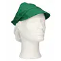 CMT Pet met Klep en Haaropvang Polyester Katoen Groen Maat L